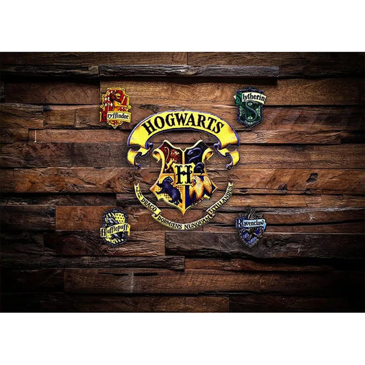 Magic Wizard School Photography Backdrop